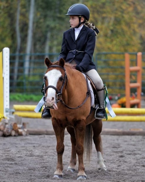 Stillbrook Riding Stables - The Horses of Stillbrook